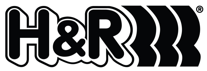 H&R 36mm ID Single Race Spring - 3.74in Length - 200lbs/in Spring Rate - 456lbs Block Load