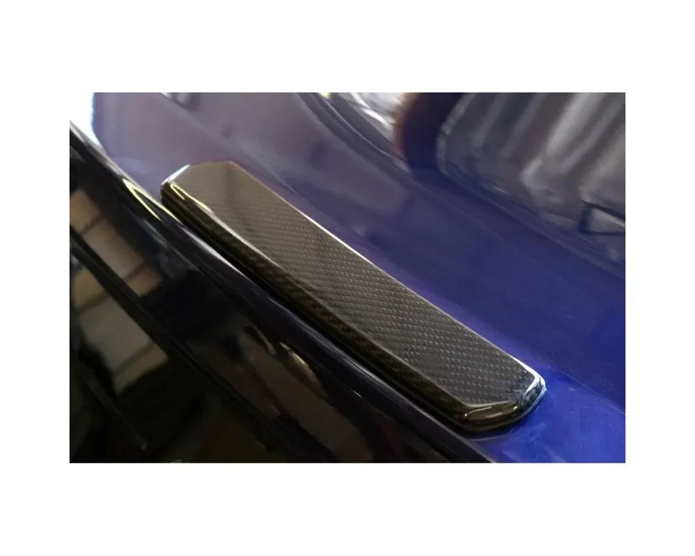 APR Performance Spoiler Center Cover Ford Mustang 2018+