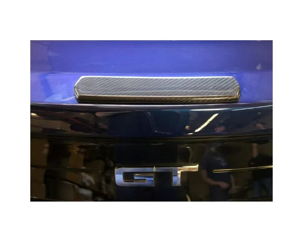 APR Performance Spoiler Center Cover Ford Mustang 2018+