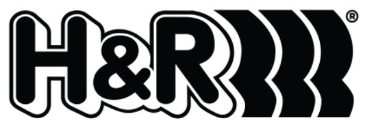 H&R 2.0 inch ID Single Race Spring Length 4 inch Rate 700 lbs/inch