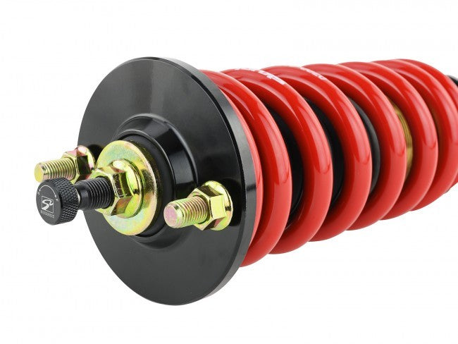 Skunk2 Pro-ST Coilovers Honda Civic | Acura Integra 92-01