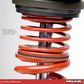 Skunk2 Pro S Coilovers Acura RSX 05-06